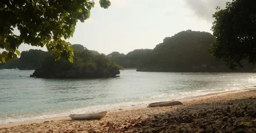 Îlet Chancel et ses iguanes : la sortie kayak au Robert