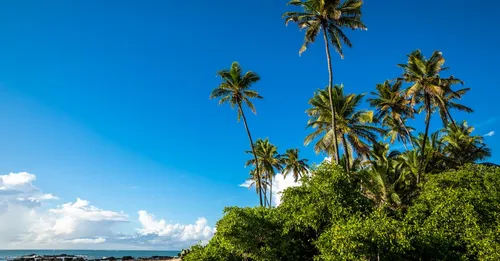 Internet et téléphone en Martinique : forfait et couverture