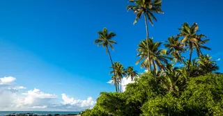 Internet et téléphone en Martinique : forfait et couverture
