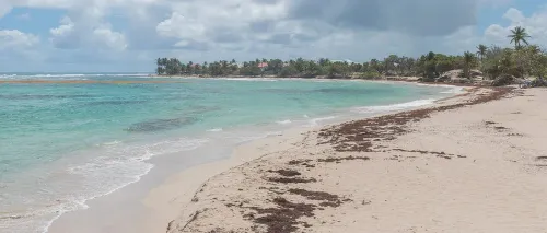 Investir dans un meublé de tourisme à Saint-François : guide propriétaire