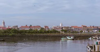 Investir à Saint-Laurent-du-Maroni : décoder le marché transfrontalier de l'Ouest guyanais