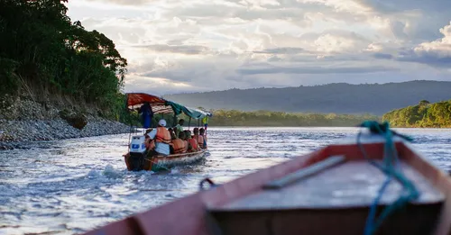 Roadtrip nature en Guyane : 10 jours de Cayenne au Maroni