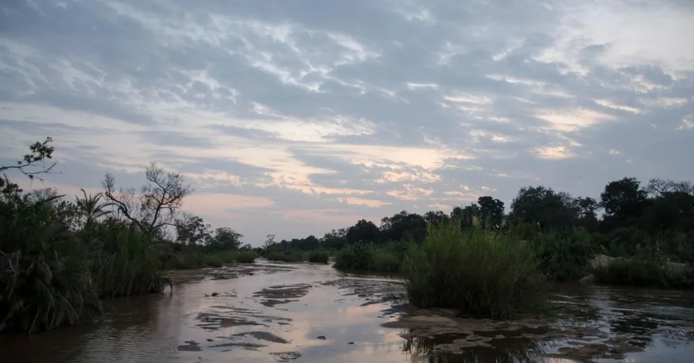 Itinéraire 15 jours en Guyane : du littoral aux savanes de Kaw jusqu'au fleuve Maroni