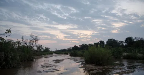 Itinéraire 15 jours en Guyane : du littoral aux savanes de Kaw jusqu'au fleuve Maroni