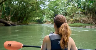 Descendre la crique en kayak : itinéraires nature près de Cayenne