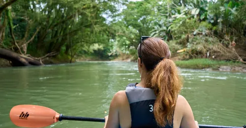Descendre la crique en kayak : itinéraires nature près de Cayenne