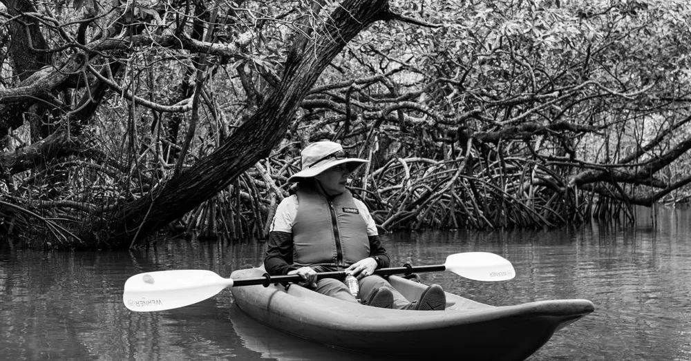 Kayak dans la mangrove du Grand Cul-de-Sac Marin : départ de Sainte-Rose ou Vieux-Bourg