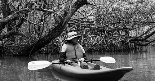 Kayak dans la mangrove du Grand Cul-de-Sac Marin : départ de Sainte-Rose ou Vieux-Bourg