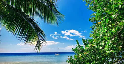 Le Carbet en Martinique : sable noir, mémoire de Gauguin et anse Latouche