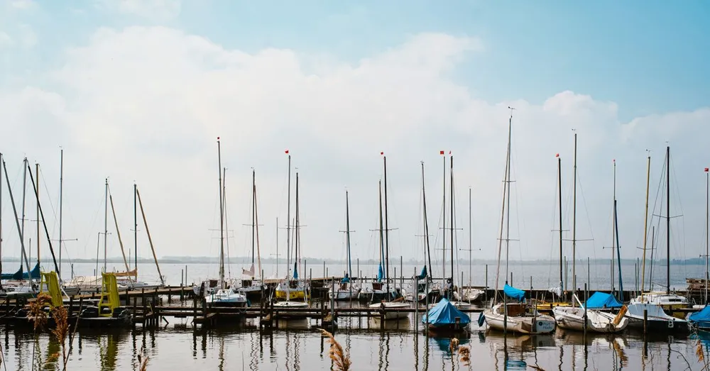 Le Marin et Sainte-Luce : investissement locatif côté sud