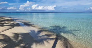 Location vacances à Kourou : votre camp de base idéal entre plages, îles et fusées