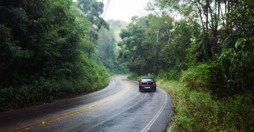 Louer une voiture en Guyane : pièges et conseils de la RN1 à la RN2