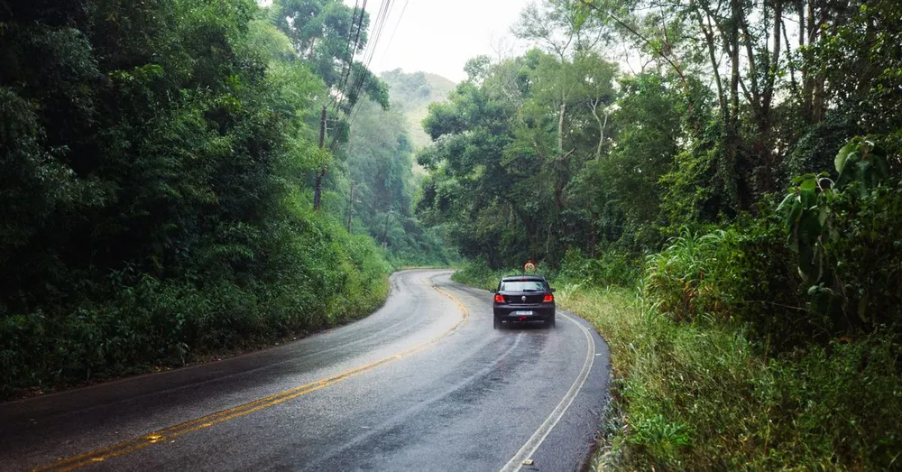 Louer une voiture en Guyane : pièges et conseils de la RN1 à la RN2