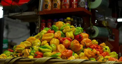 Manger local en Martinique sans se ruiner : budget repas