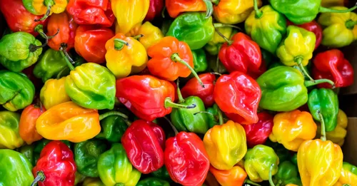 Marché aux épices et saveurs créoles en Guadeloupe : le guide dégustation de nos hôtes