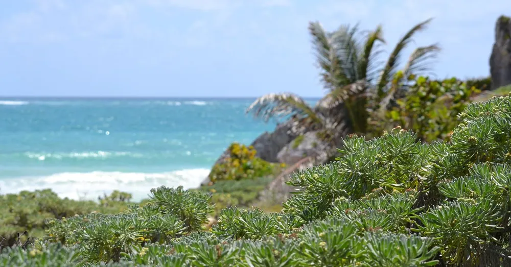 Les plus belles plages de Guadeloupe (2026)