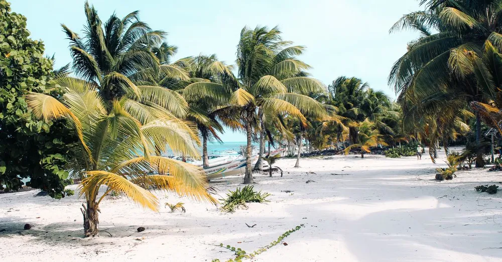 Les 7 plus belles plages de Martinique (2026)