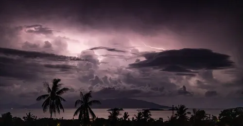 Météo de la Martinique expliquée : alizés, pluies et houle