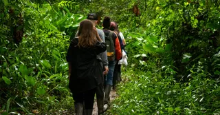 Trek vers la montagne de Kaw et le carbet du bout du monde