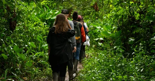 Trek vers la montagne de Kaw et le carbet du bout du monde