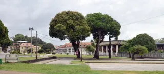 ¿Dónde alojarse en Cayenne? Hotel vs. alquiler económico (guía 2026)