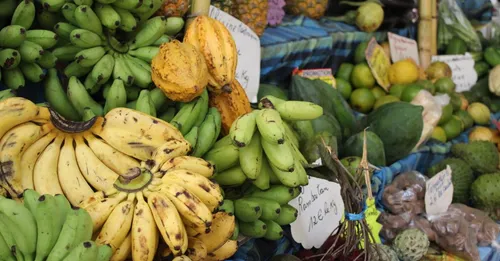 Manger créole, hmong, brésilien : le tour des cuisines de Cayenne