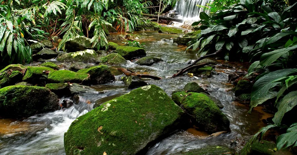Démarches et papiers pour aller en Guyane depuis la métropole