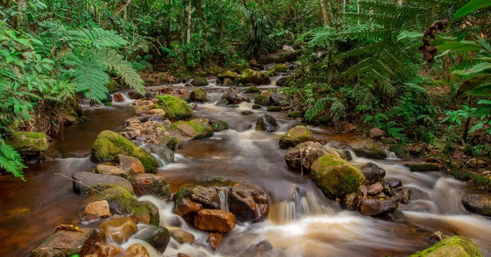 Parc amazonien de Guyane : accès, autorisations et villages d'entrée à connaître avant de partir