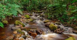 Parc amazonien de Guyane : accès, autorisations et villages d'entrée à connaître avant de partir