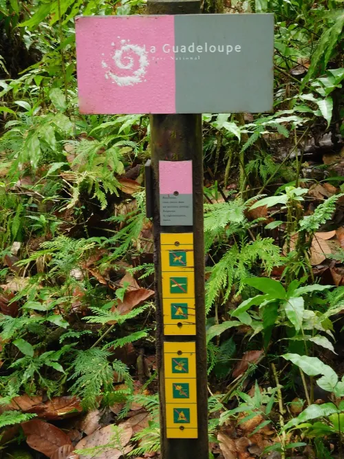 Parc national de la Guadeloupe : reglementation randonnee a connaitre