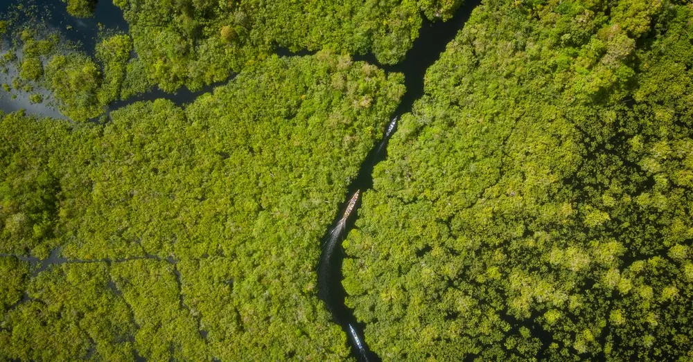 Payer en Guyane : espèces, CB et derniers retraits avant le Maroni et l'Oyapock