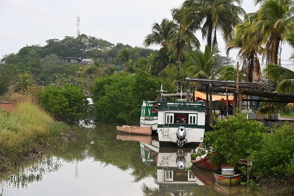 Pêche au gros au large de Cayenne : prestataires, prises et conseils d'initié