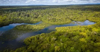 Pêche au gros au large de Cayenne : prestataires, prises et conseils d'initié