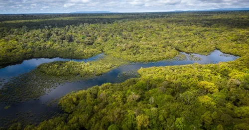 Pêche au gros au large de Cayenne : prestataires, prises et conseils d'initié