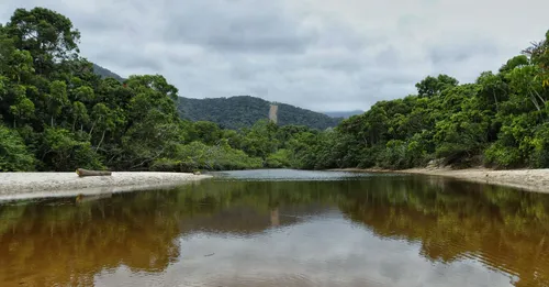 Pêche au gros et estuaires de Guyane : guide des spots côtiers