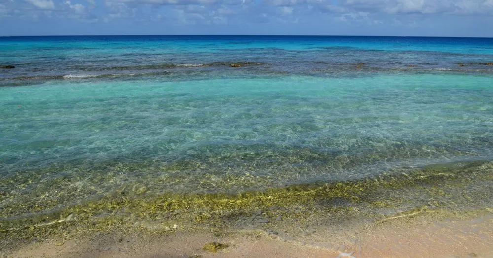 Plage de Bois Jolan Sainte-Anne : lagon peu profond pour enfants