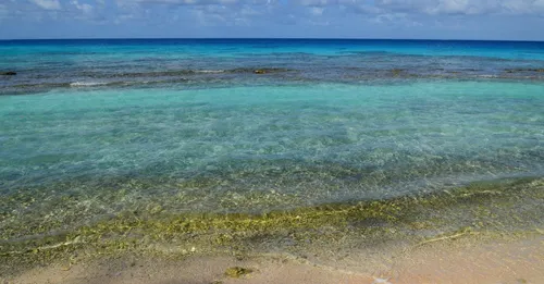 Plage de Bois Jolan Sainte-Anne : lagon peu profond pour enfants