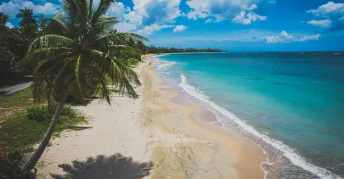 Plage de Cluny Sainte-Rose : crique confidentielle de Basse-Terre nord