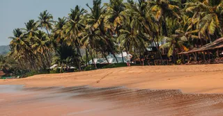 Plage des Salines de Montjoly : marées, crabes et palmiers, le guide d'un local