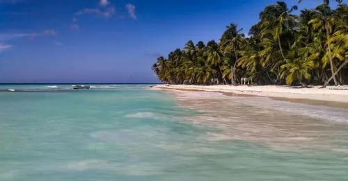 Plage du Souffleur Port-Louis : l'esprit Grande-Terre authentique