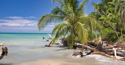 Plage de Montjoly : baignade, maracudja et couchers de soleil, le guide d'un local