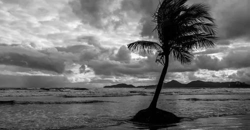 Plages du Nord Atlantique en Martinique : Anse Charpentier et Anse Couleuvre, le sable noir sauvage