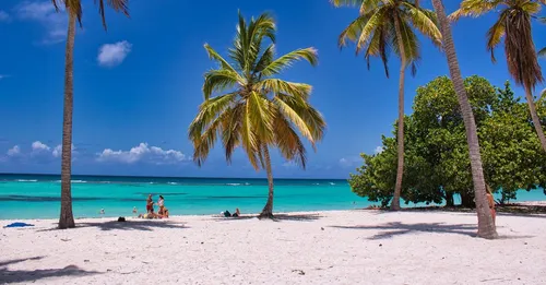 Plages de sable noir de Basse-Terre : où et pourquoi les découvrir