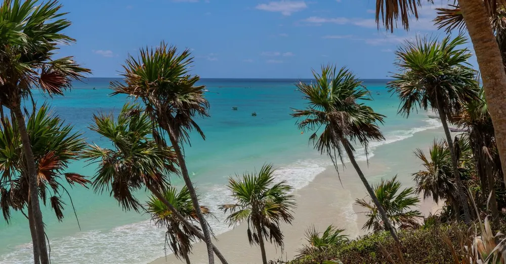 Quelle plage selon votre commune de location en Martinique