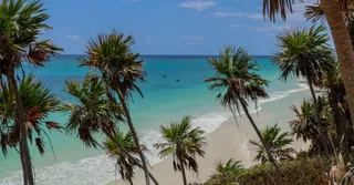Quelle plage selon votre commune de location en Martinique