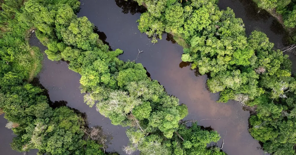 Plages de Guyane : Montjoly, Awala, Salines et le secret de l'eau chargée