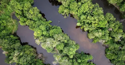 Plages de Guyane : Montjoly, Awala, Salines et le secret de l'eau chargée