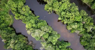 Plages de Guyane : Montjoly, Awala, Salines et le secret de l'eau chargée