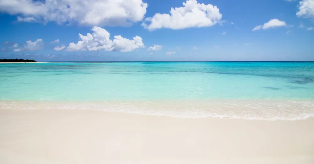Spots de plongée épaves en Guadeloupe : Augustin Fresnel et Franjack