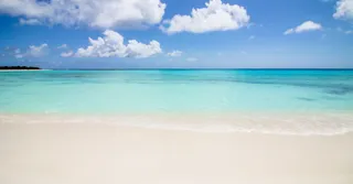 Spots de plongée épaves en Guadeloupe : Augustin Fresnel et Franjack